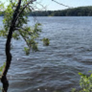 Meet your Posher, Vinton